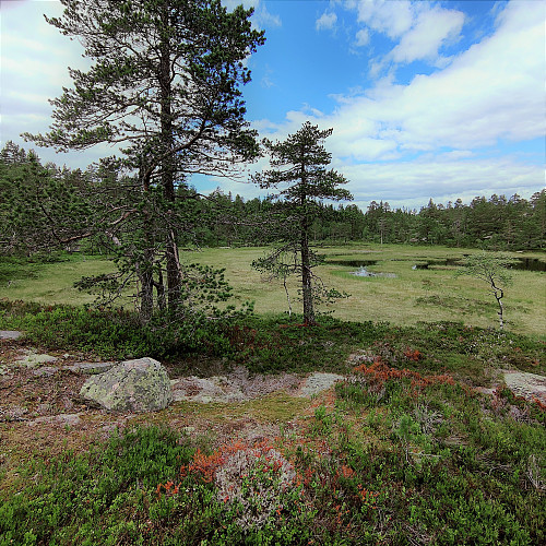 Opp mot Tretjernåsen