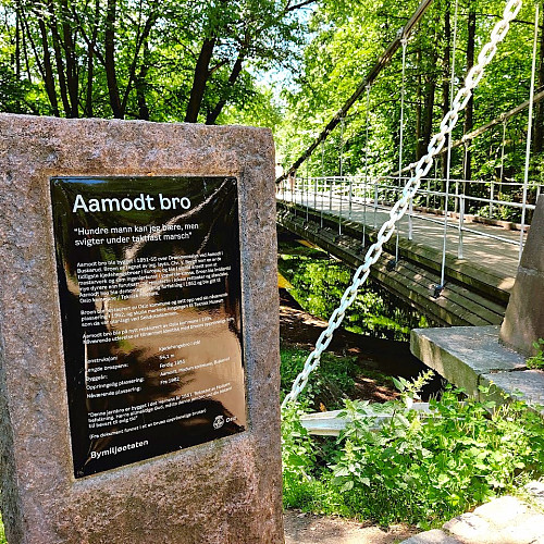 Aamot bru. Gikk en gang over Drammenselva