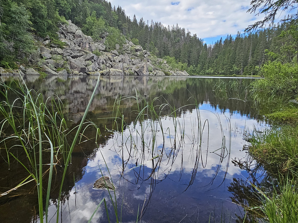 Nedre Svarttjern 