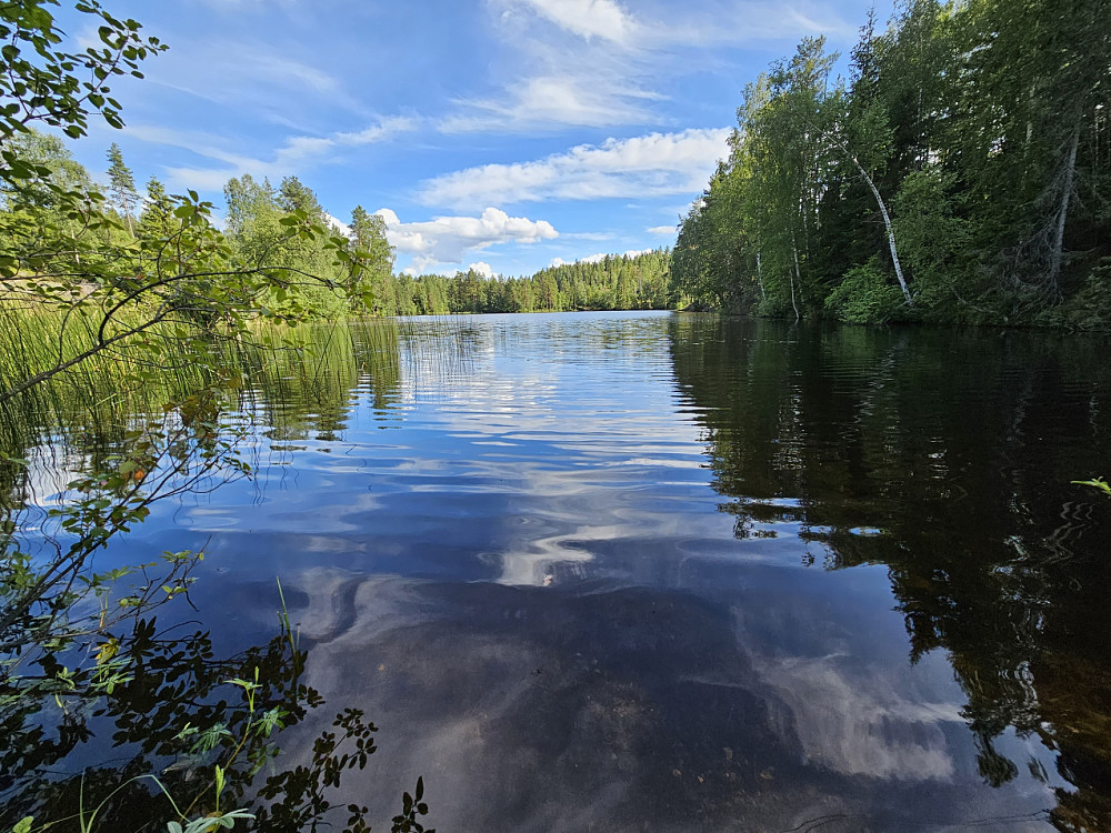 Svarttjern. 