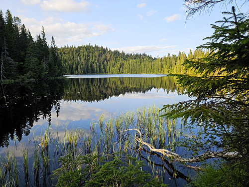 Innom Svartevannet