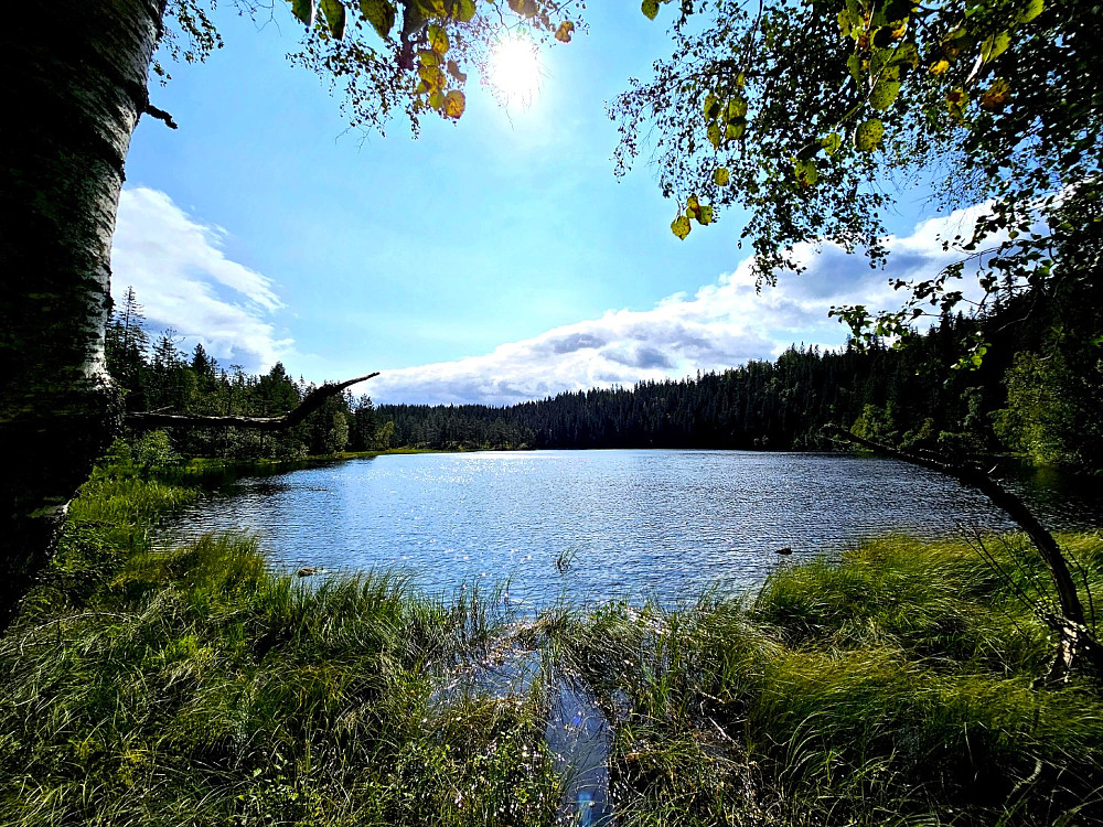 Svarttjern øst for Leangen