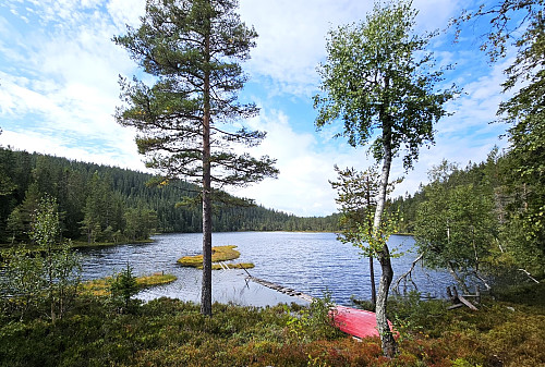 Svartvann 