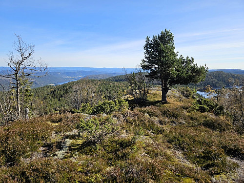 Fineste utsiktspunktet, øst på kollen