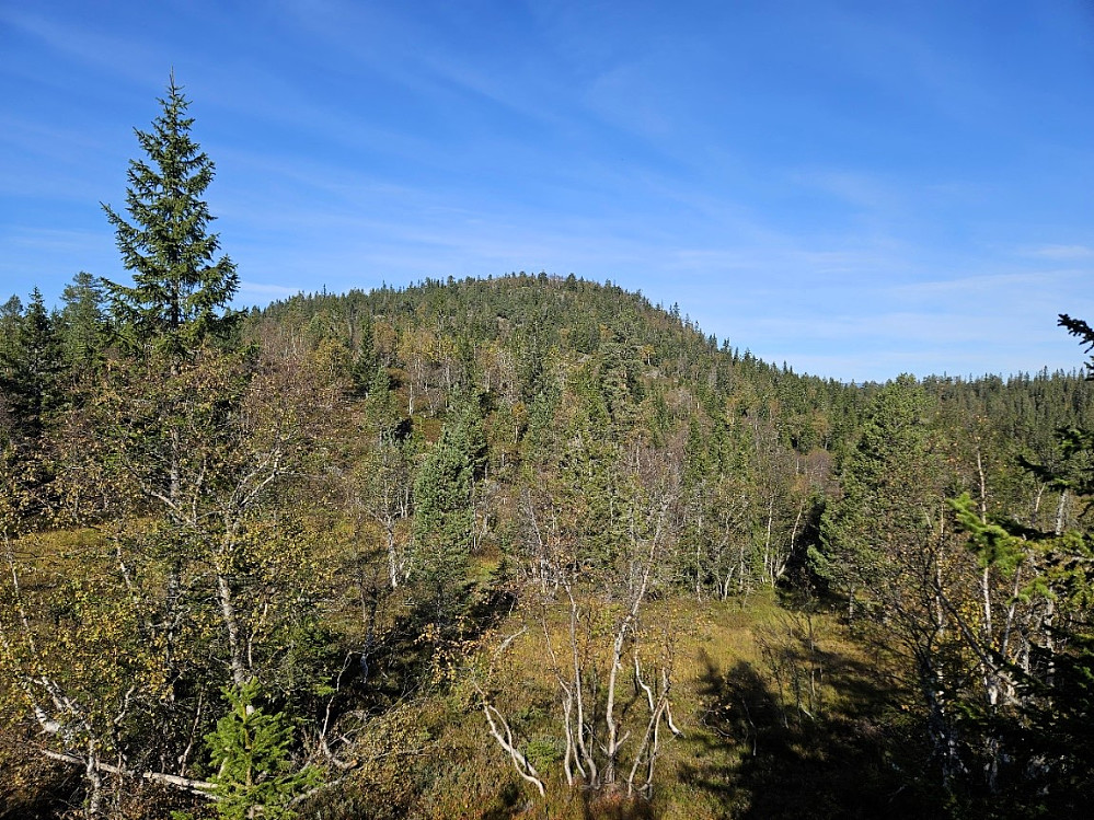 Knarren
