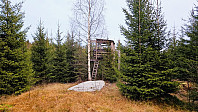 Tom3041_20241102_672659333ba2d.jpg