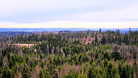 Tom3041_20241102_672659344ca5c.jpg