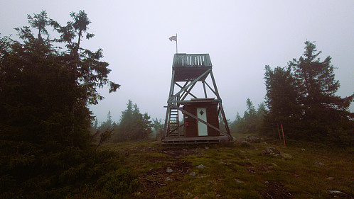 Tårnet i tåka