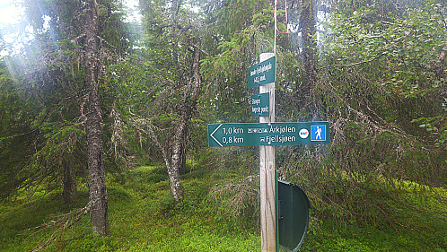 Fjellsjøhøgda