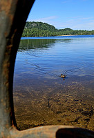 Tom3041_20250818_68a3719cd28b0.jpg