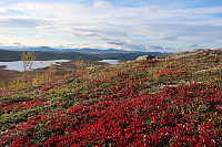 Utsikt fra Skjellbreidkampen mot Reinsjøen og Skaget
