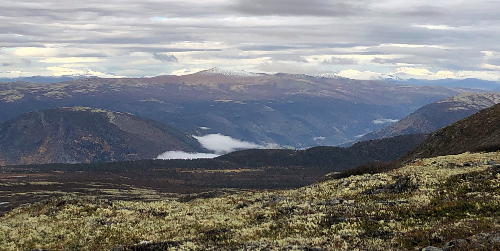 mot Heidalsmuen og Jotunheimen. Teigkampen og Torgeirkampen med Kvam i midten.