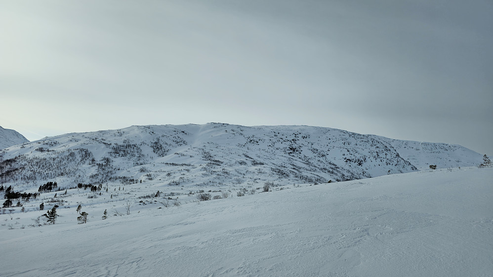 Seterfjellet. Gikk opp til høyre for dalsøkket litt til venstre for midten av bildet. Veldig isete de øverste meterne, så måtte bære skia. Burde hatt skarejern.