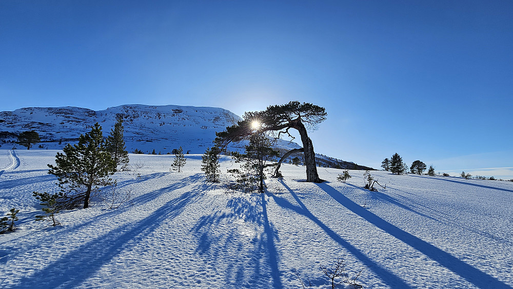 Utsikt mot Hjelmen.