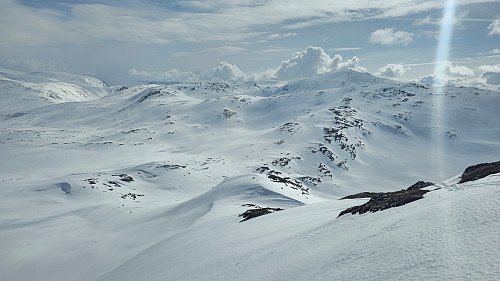 Veien hjem.