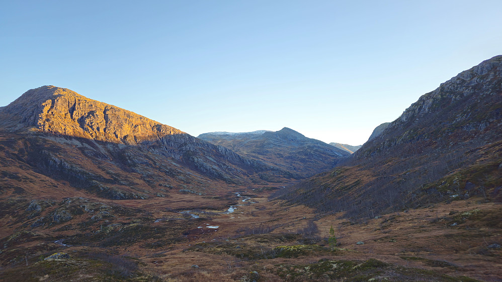 Innover Naustådalen. Fortsatt for tidlig å ta av oppover mot Knubban.