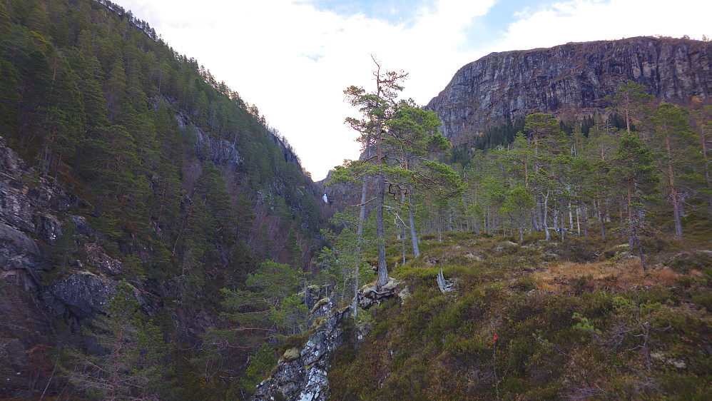 Utsikten oppover etter å ha tatt av fra stien som går fra Kårvatn til Storlidalen.