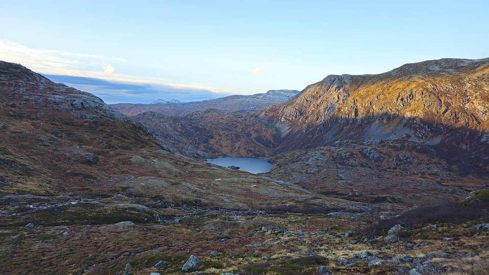 Lettgått li nedover til Neådalen.