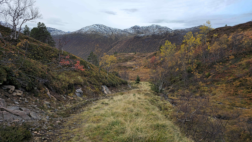 Ned til Søyådalen.