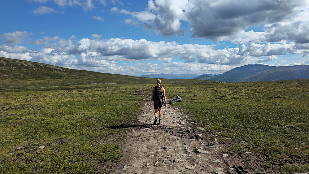 Lettgått landskap.