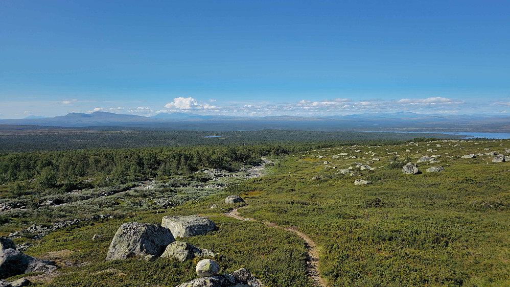 Kommet ut av skogen etter Ljøsnavollen.