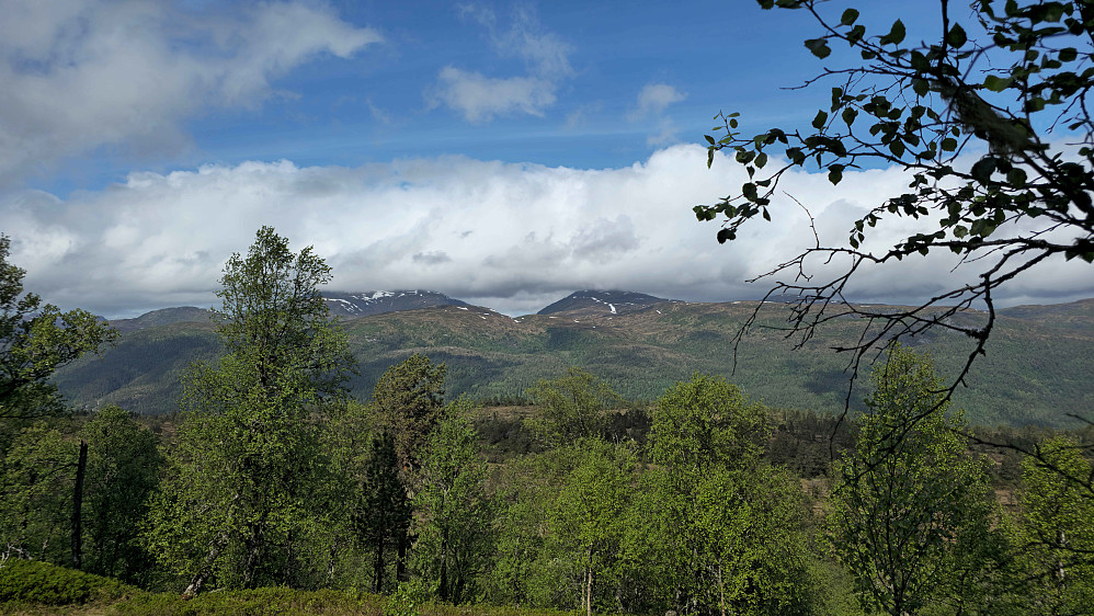 Bøverdalsfjell.