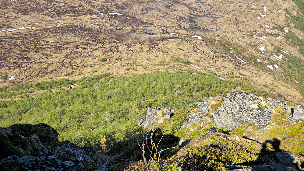 Snart oppe på Storfjellet. Tok direkteruta rett opp gjennom kratt og skit og lort. Anbefales ikke. Betydelig enklere å gå inn langs Tæla og opp fra sørvest.