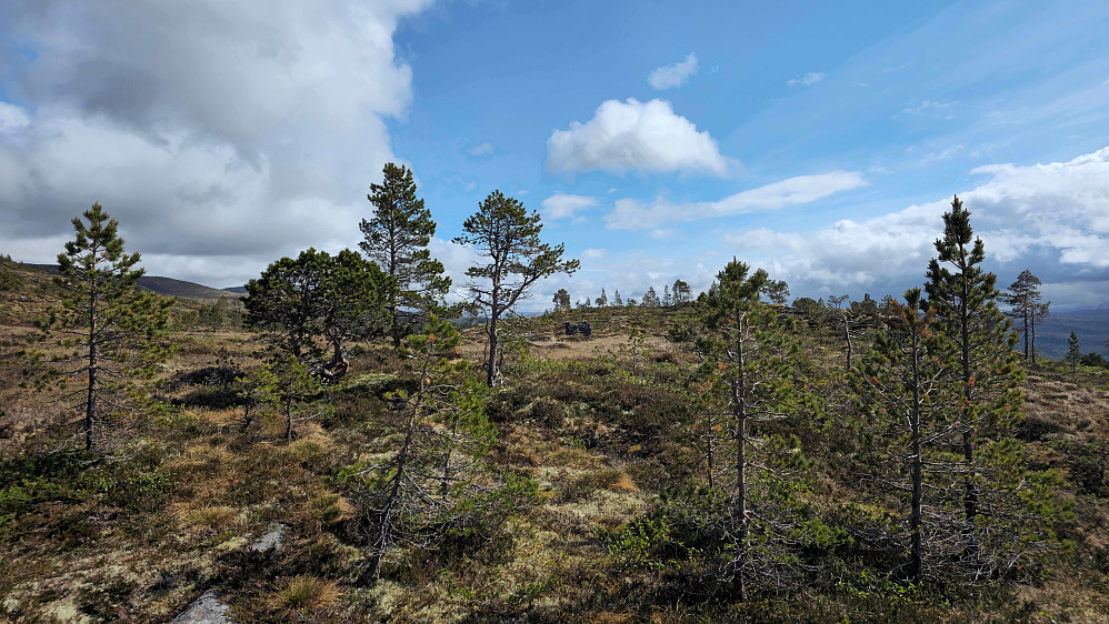 Rester av en grunnmur på myra på før toppen.
