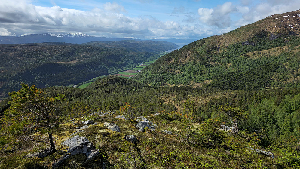 Lett landskap å gå i.