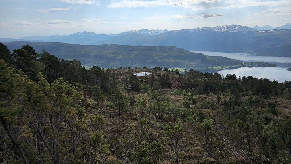 Ingen sti ned fra Durmålshaugen, men greit å gå.
