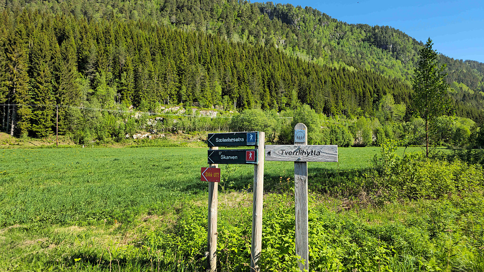Turstart ved Seterbøen.