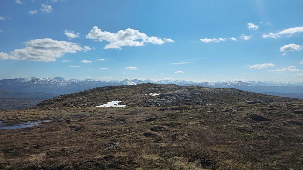 Varden på Skarven i profil med Trollheimen bak. Flott dag i lavfjellet!