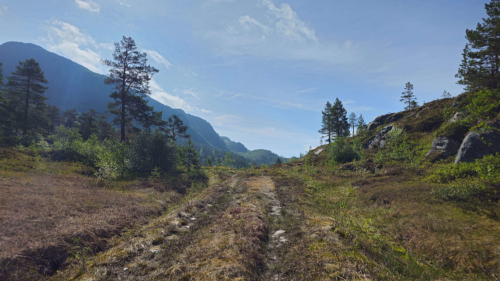 Enkel start fra Gråhaugen.