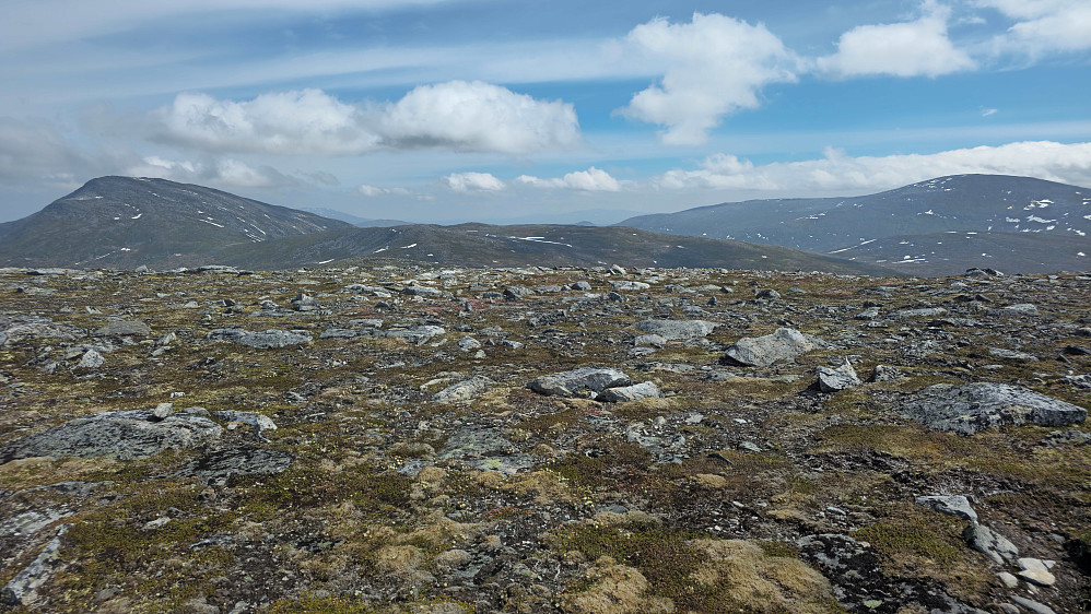 Bolmtrollhøtta og Rindhatten sett fra Kufjellet.