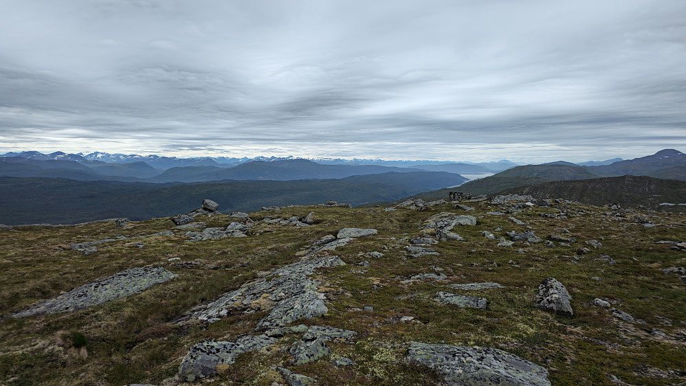 Oppe på Neverholthøgfjellet.
