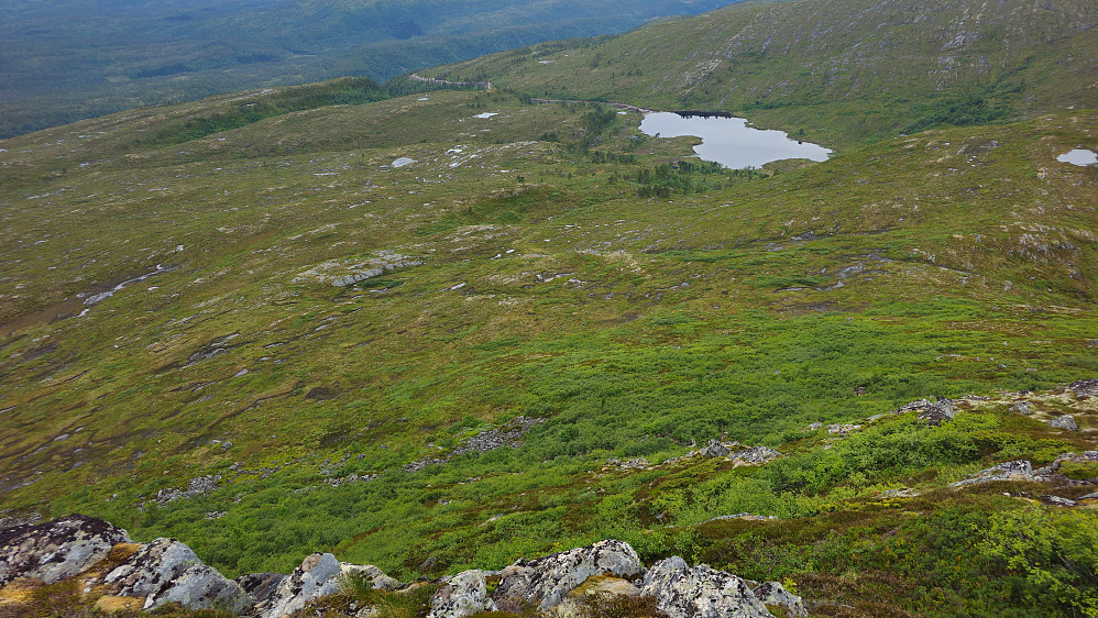 Småkronglete kratt ned fra fjellet mot Myrholtvatnet.