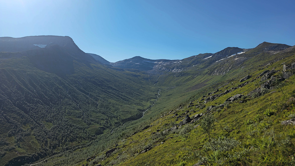 Kommet godt opp i lia under Snøfjellet. Dalbotnen og eggen åpenbarer seg.