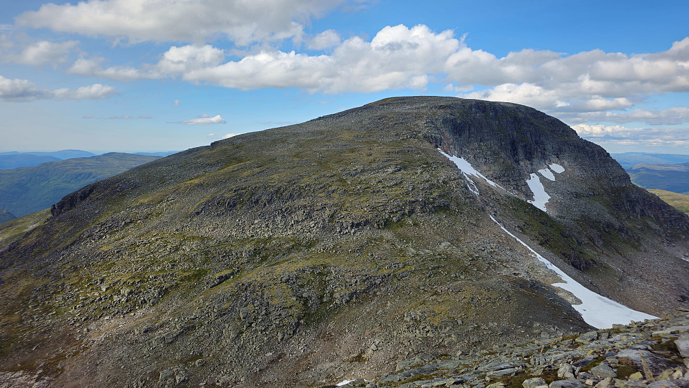 Fauskånebbene.