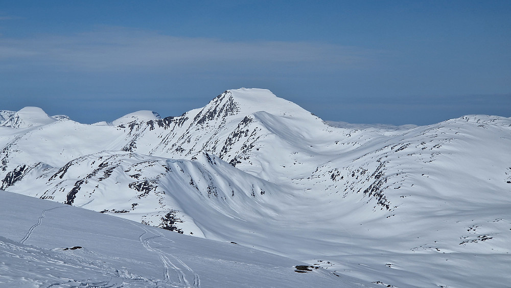 Neådalssnota.