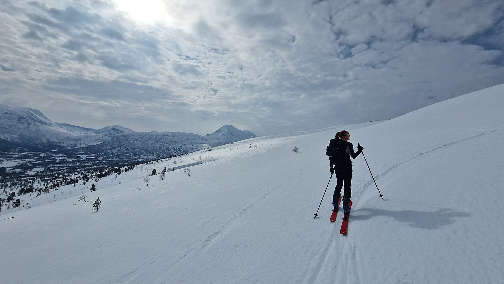 Innmars mot Langøyfjellet. Slak stigning oppover lia.