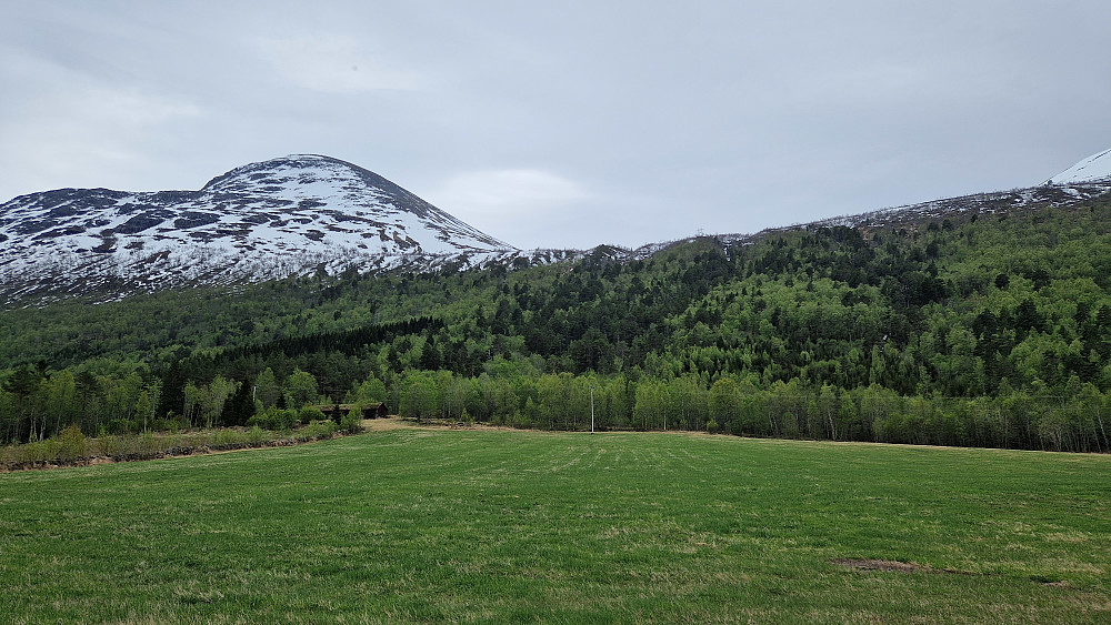 Tilbake i dalen.