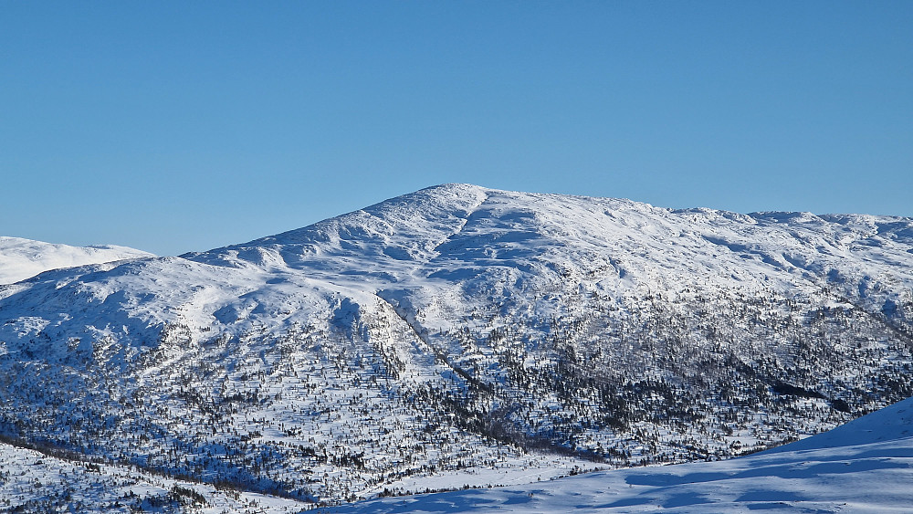 Tindfjellet.