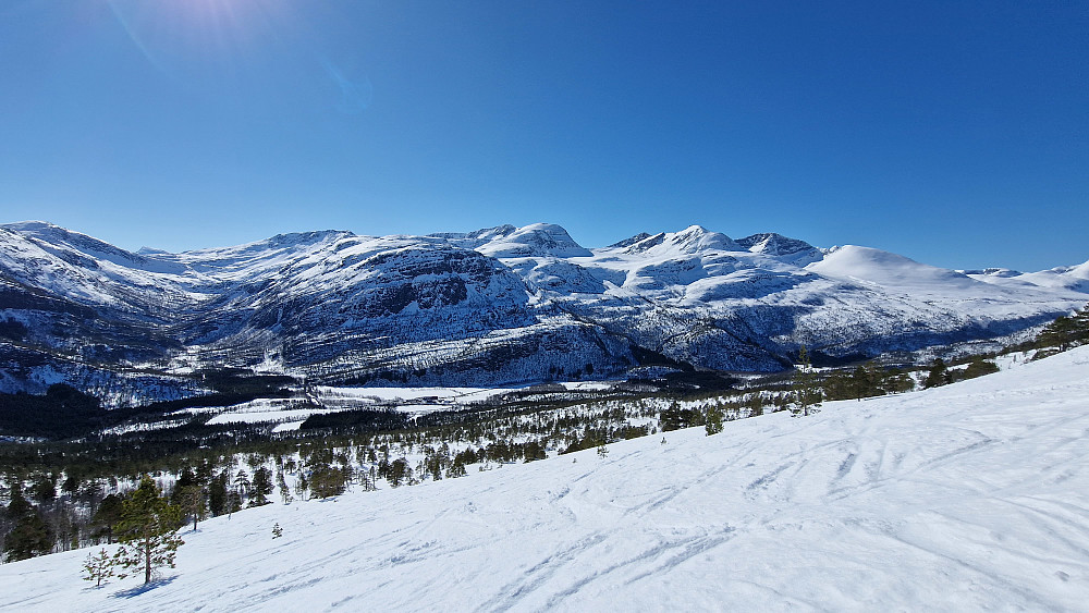Godt oppe i det som omtales som landets fineste li. Skjerdingen og Snøfjellet bak.