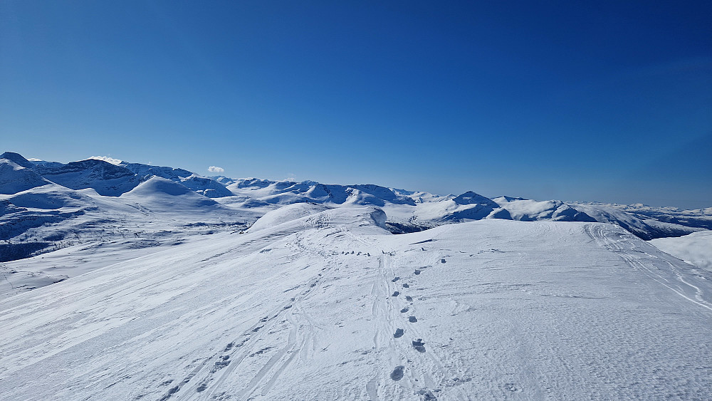 Med hjelp av både armer og bein tok jeg meg opp på Vestre Tydalsnebba. Bratt fra der folk flest stopper og opp til selve toppryggen. Skulle helst hatt stegjern her, så det ble svært forsiktig på tur ned igjen for å unngå å skli mange hundre meter ned til flata.