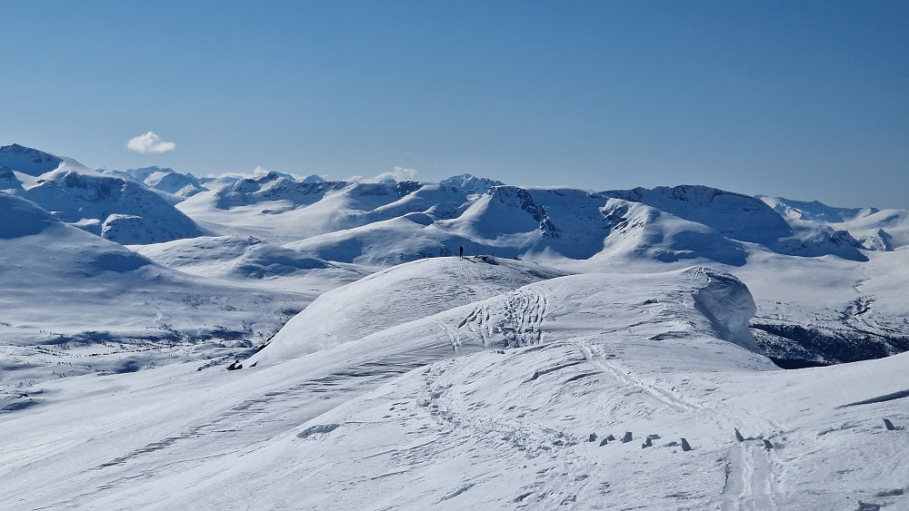 Ryggen til Vestre Tydalsnebba.