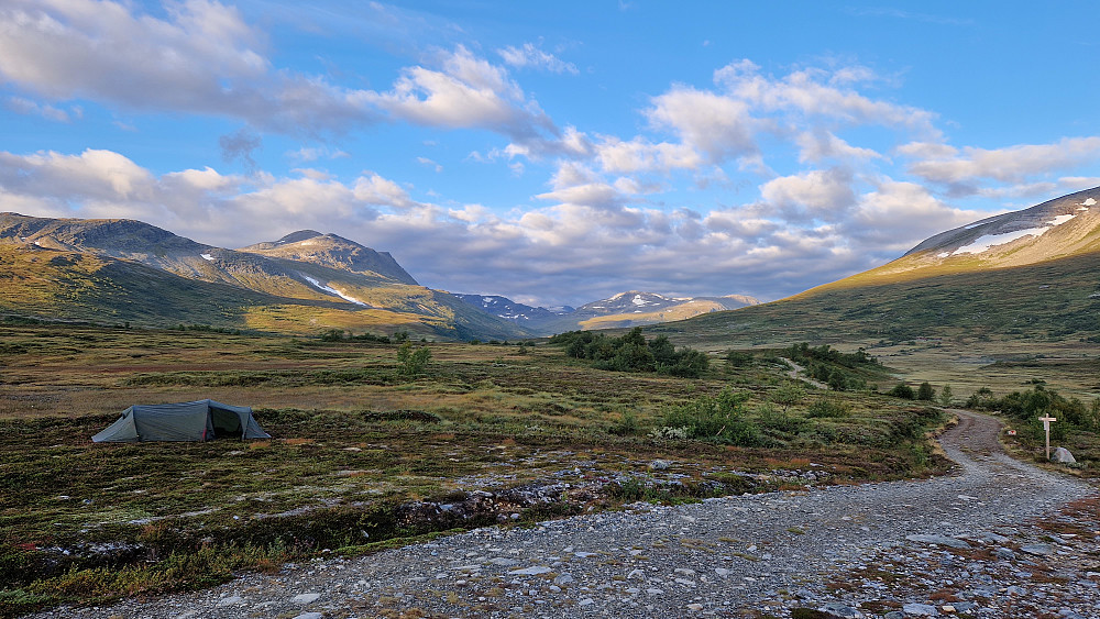 Morgenstund har gull i munn.