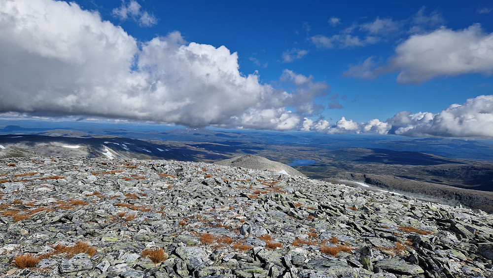 Ser nordøstover fra Svarthøtta.