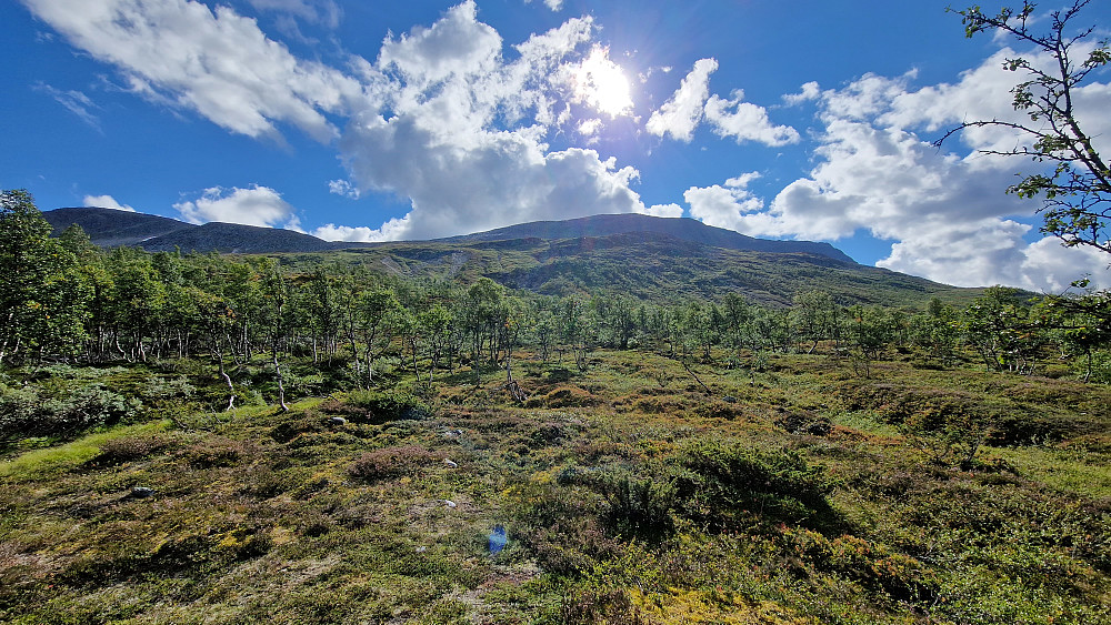 Ruta ned fra Svarthøtta.
