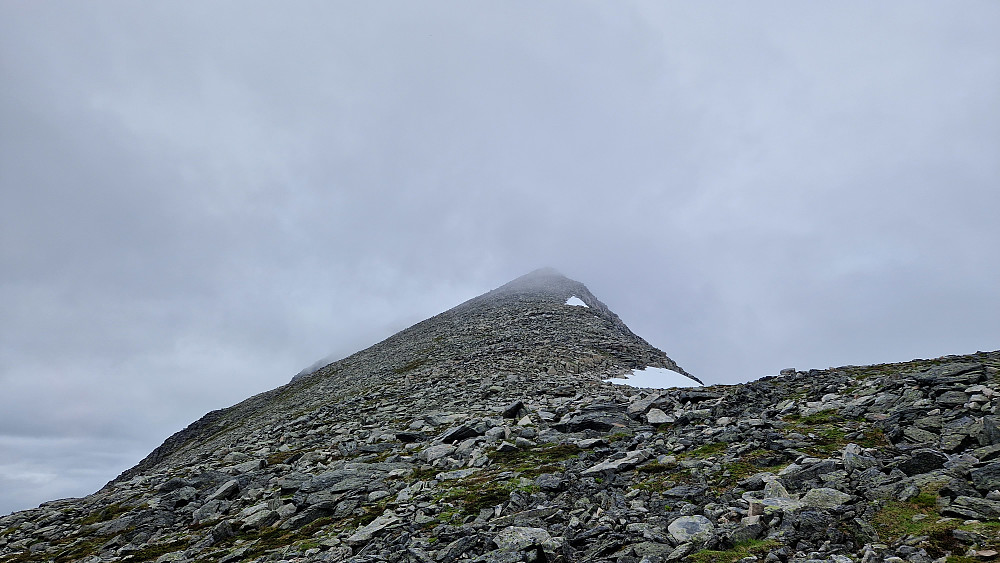 Ruta opp mot Snøfjellet sett fra skaret.