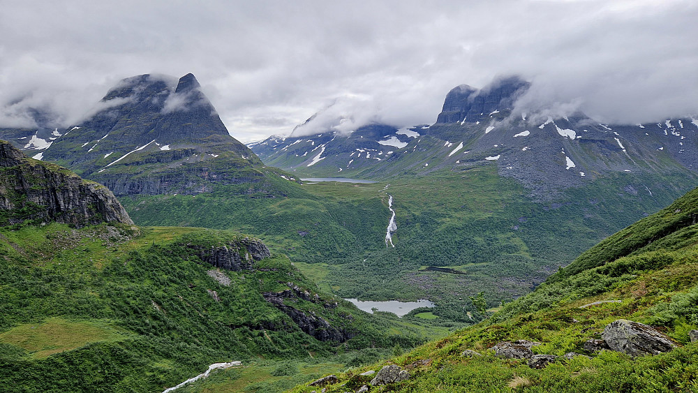 Grønt og frodig.
